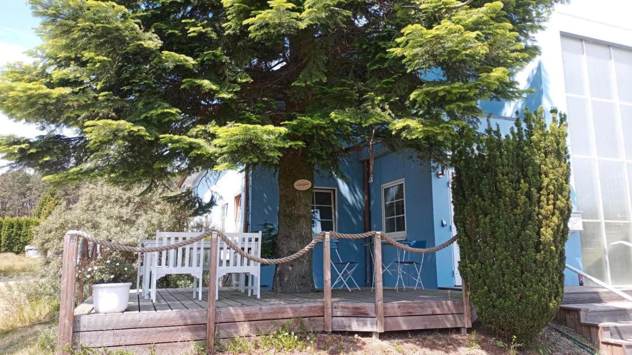 Ferienwohnung Naturparadies Gnitz Lutow Exteriér fotografie